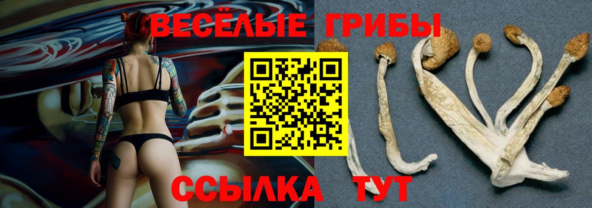 Псилоцибиновые грибы прущие грибы  Галлюциногенные грибы GOLDEN TEACHER  Вход с VPN  Лесозаводск 