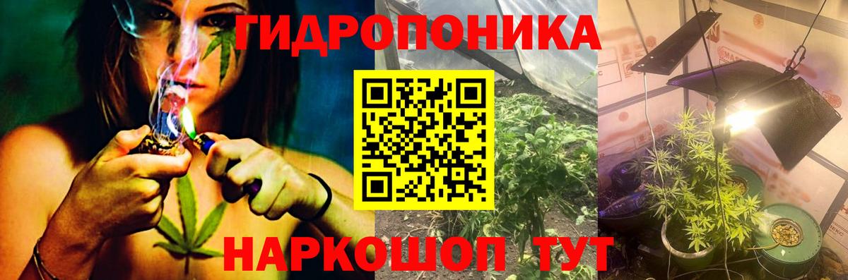 Лесозаводск  Бошки марихуана VHQ  Вход с VPN  Канабис семена 